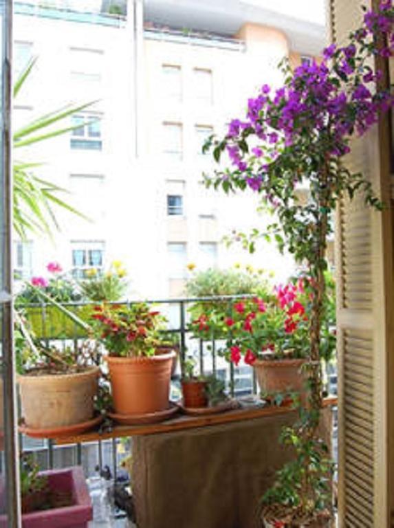 Nissa La Bella Appartement *